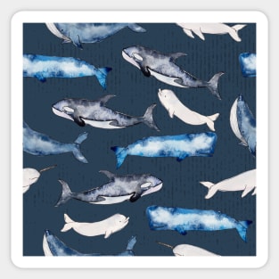 Watercolor Whales Pattern Sticker